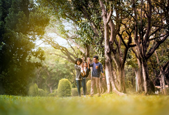 Người d&acirc;n Thủ đ&ocirc; sẵn s&agrave;ng chi tiền để tăng diện t&iacute;ch c&acirc;y xanh