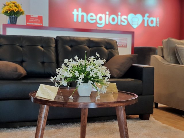 Startup trẻ khai ph&aacute; tiềm năng thị trường sofa Việt Nam
