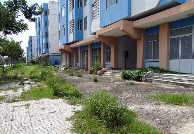 Khu t&aacute;i định cư Vĩnh Lộc B (B&igrave;nh Ch&aacute;nh) vắng vẻ, kh&ocirc;ng người ở, cỏ dại mọc khắp nơi. Ảnh:&nbsp;H&agrave; An