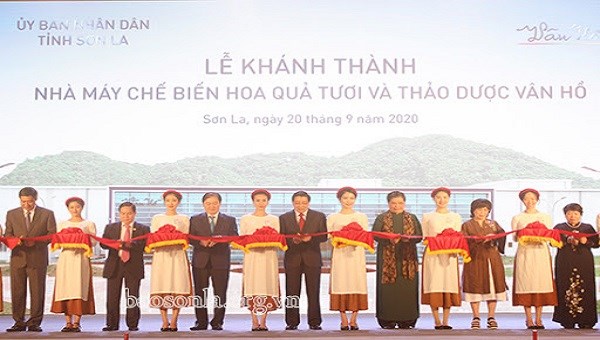 Cắt băng kh&aacute;nh th&agrave;nh Nh&agrave; m&aacute;y chế biến hoa quả tươi v&agrave; thảo dược V&acirc;n Hồ- Sơn La