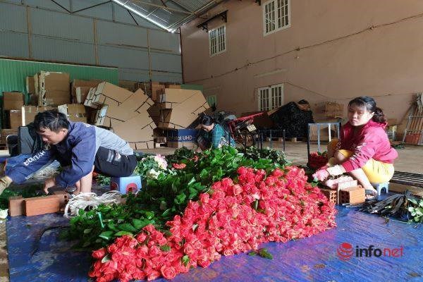 C&aacute;c vựa hoa khẩn trương đ&oacute;ng h&agrave;ng, chuyển đi c&aacute;c tỉnh phục vụ dịp lễ.