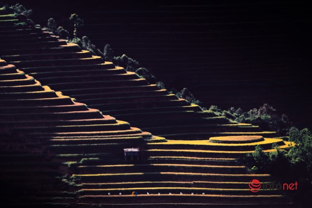 Vạt nắng chiều tr&ecirc;n thửa ruộng bậc thang